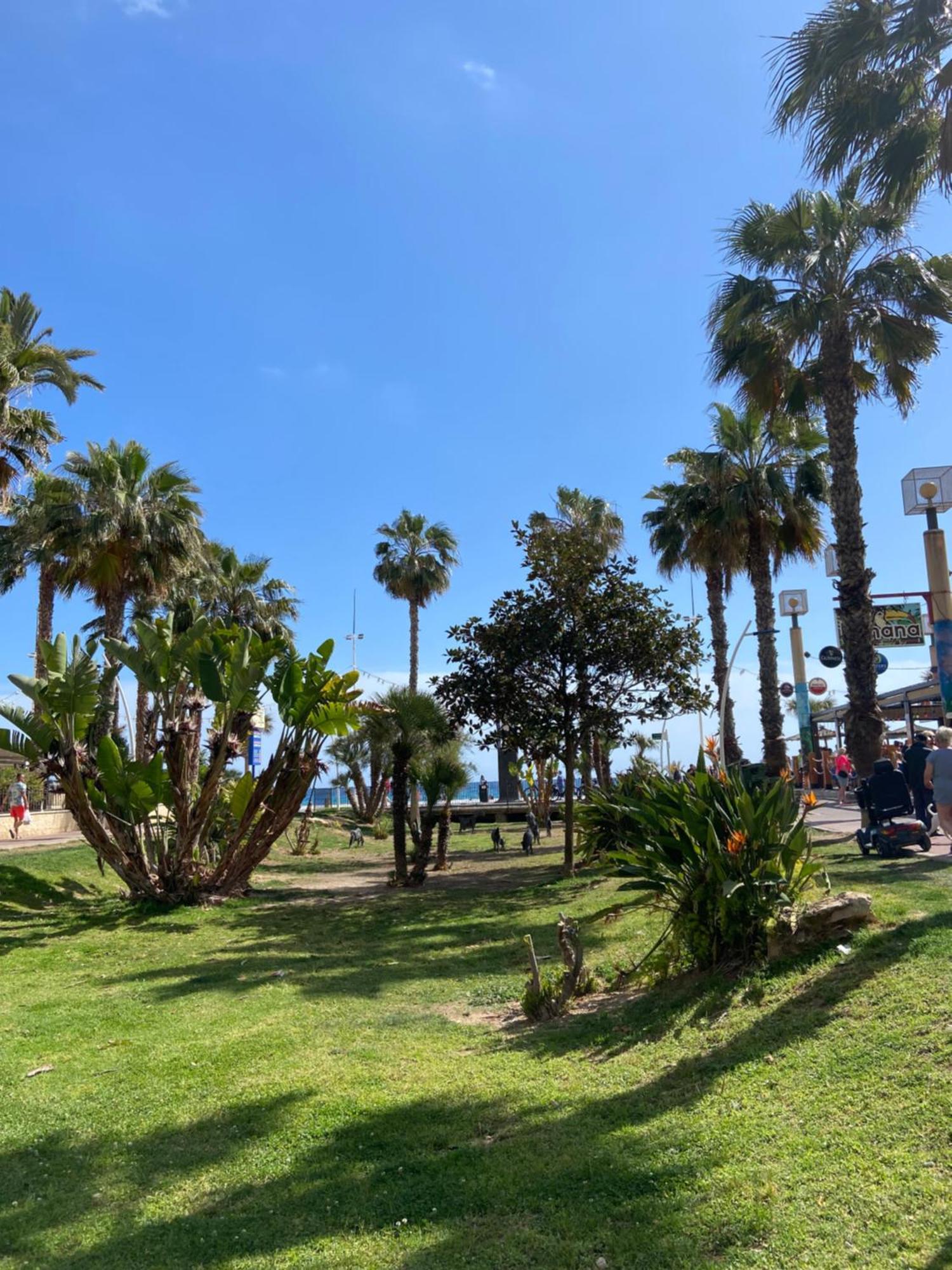 Levante Carlos V 1B Benidorm Extérieur photo